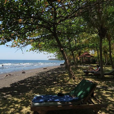 Bali Sandat Tejakula Extérieur photo