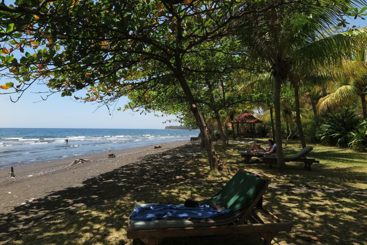 Bali Sandat Tejakula Extérieur photo