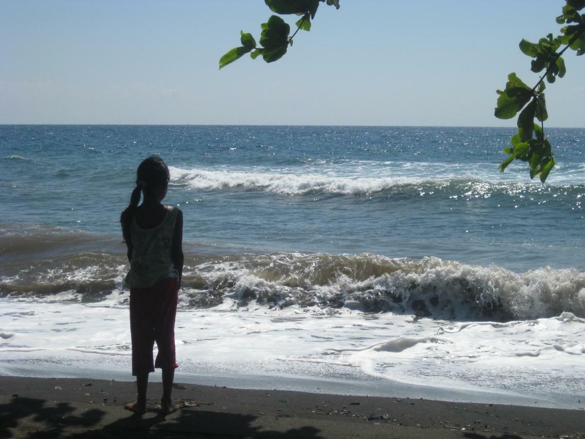 Bali Sandat Tejakula Extérieur photo
