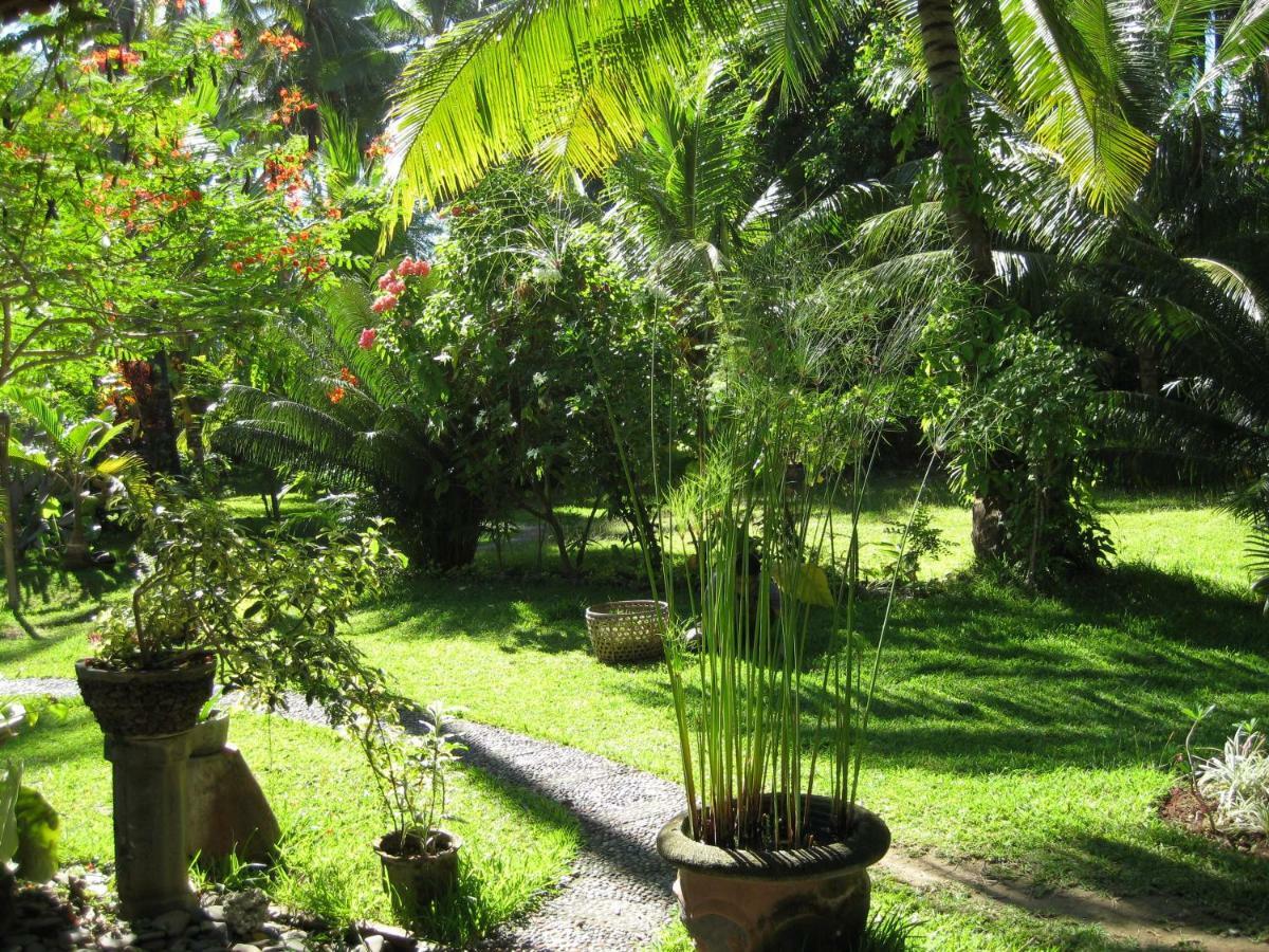 Bali Sandat Tejakula Extérieur photo